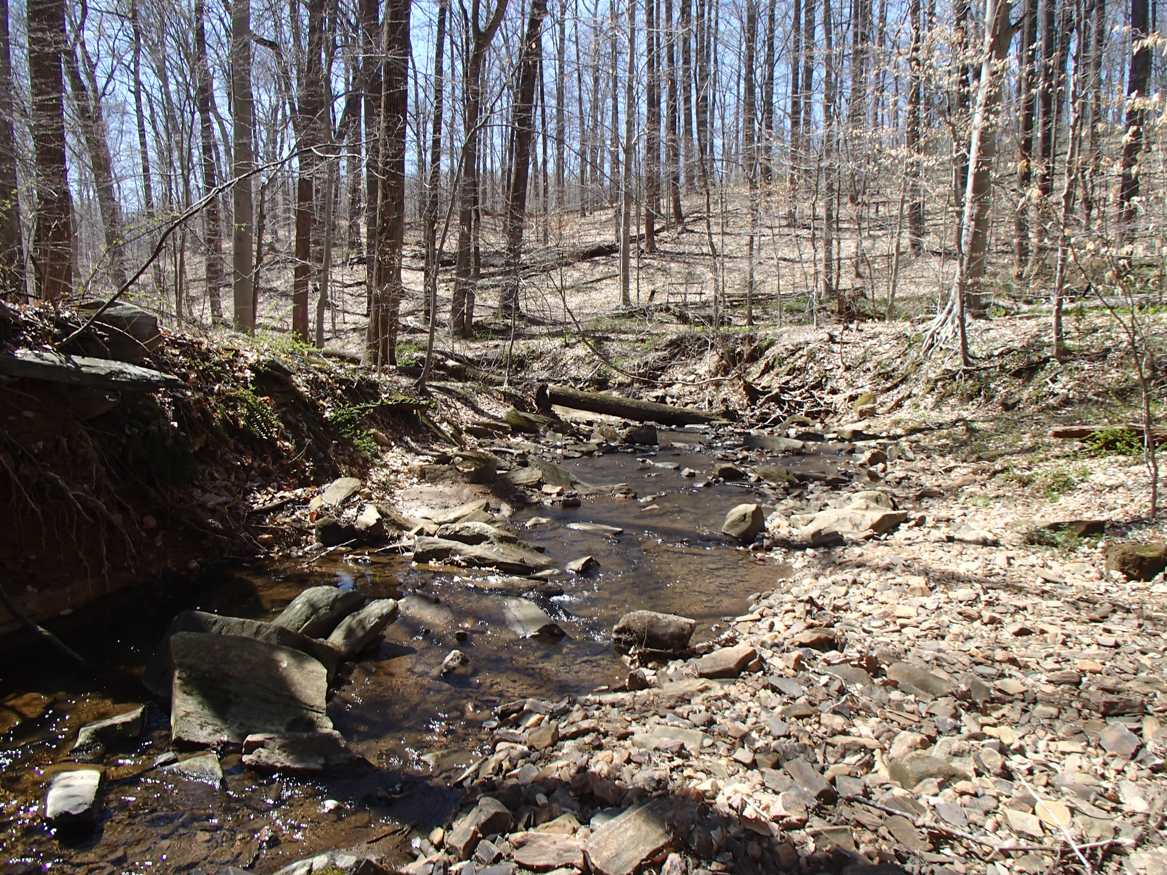 Field photo showing stream conditions at site ATKI-101-X-2016_Midpoint downstream